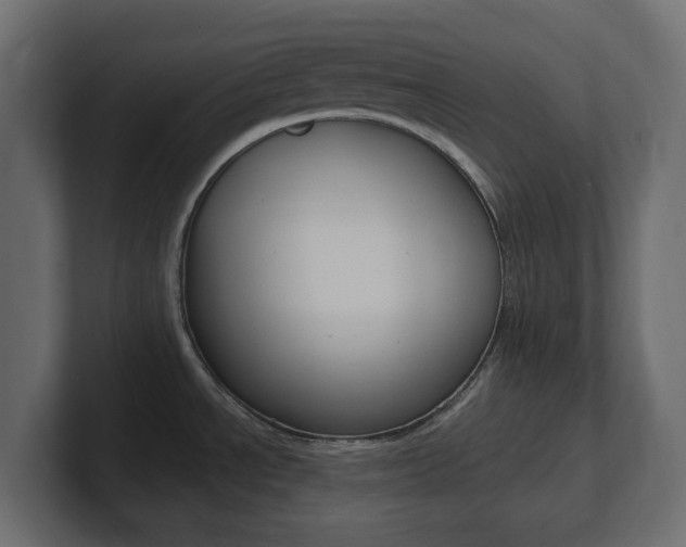 X0000101231534200806270935
