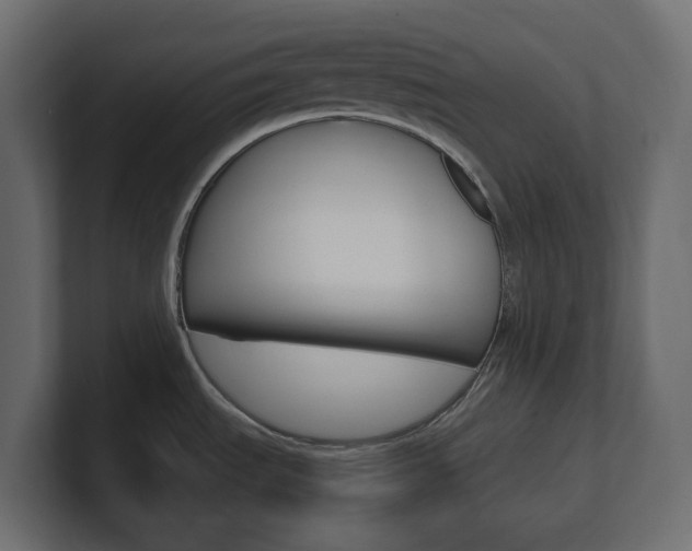 X0000101231535200806270935