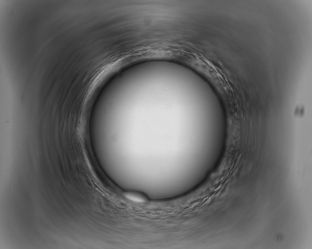 X0000101230003200806271522
