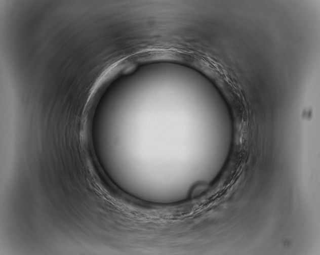 X0000101230004200806271522