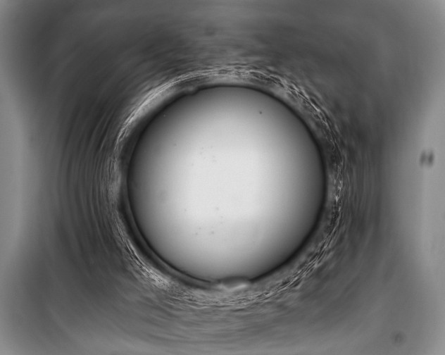 X0000101230005200806271522