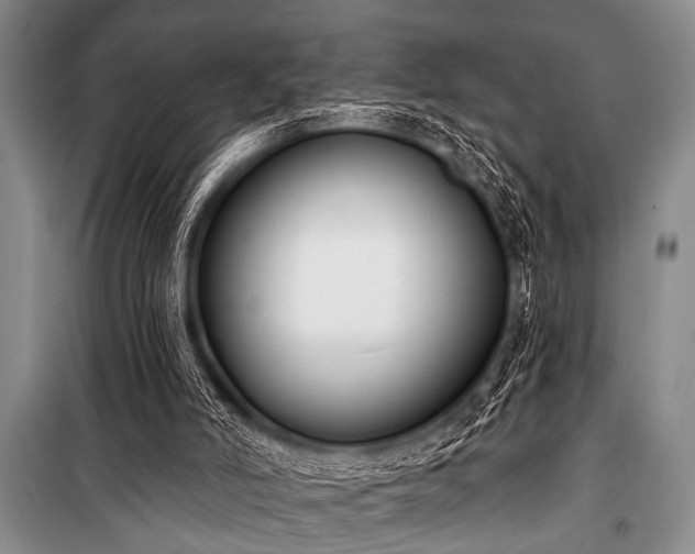 X0000101230006200806271522