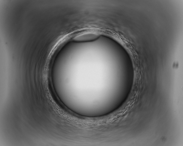 X0000101230007200806271522