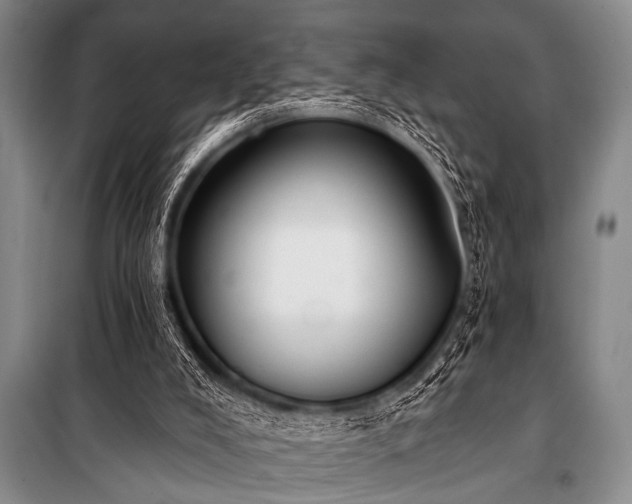 X0000101230008200806271522