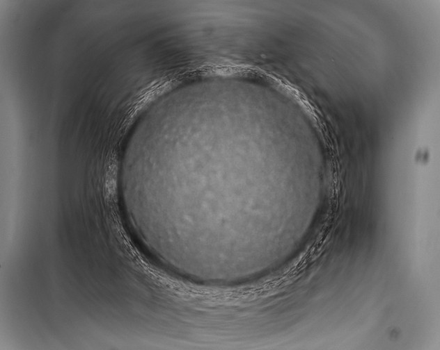 X0000101230010200806271522