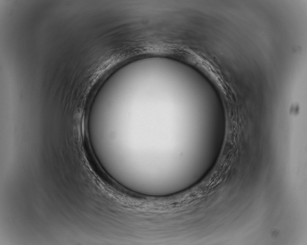 X0000101230011200806271522