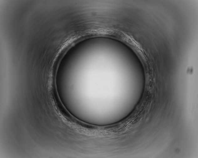 X0000101230012200806271522