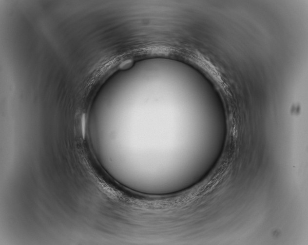 X0000101230013200806271522