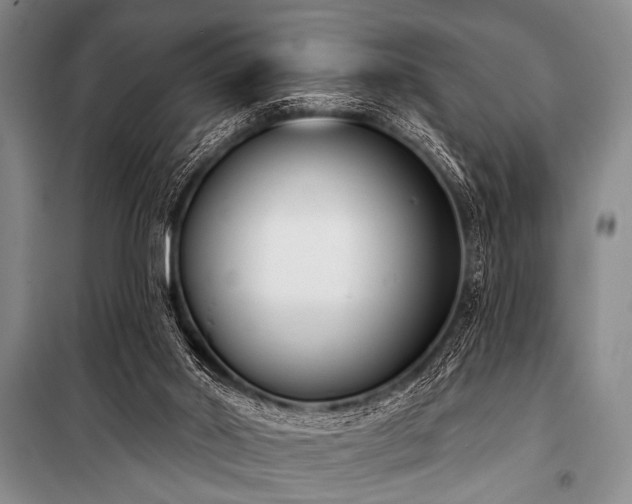 X0000101230014200806271522