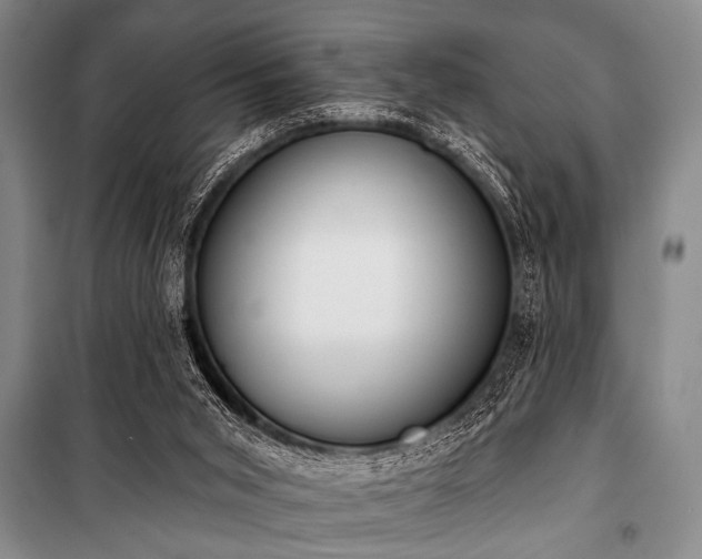 X0000101230015200806271522