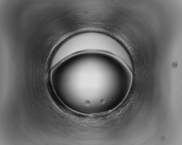 X0000101230016200806271522