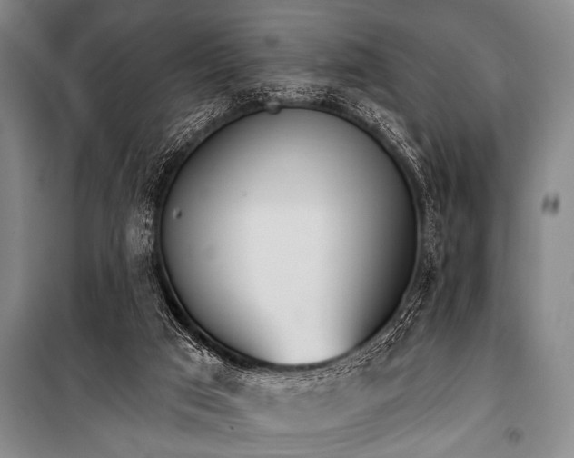 X0000101230017200806271522