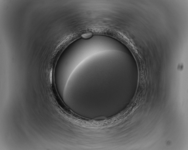 X0000101230019200806271522