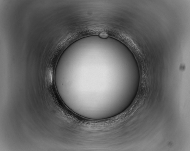 X0000101230021200806271522