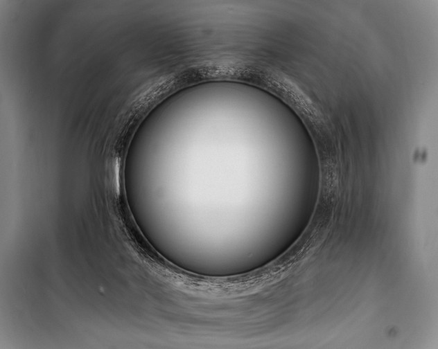 X0000101230022200806271522