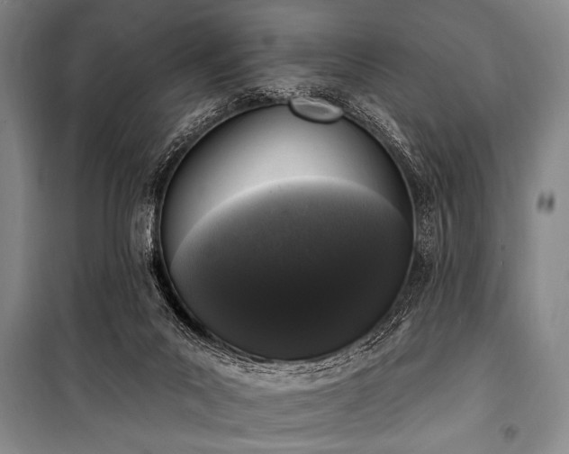 X0000101230023200806271522