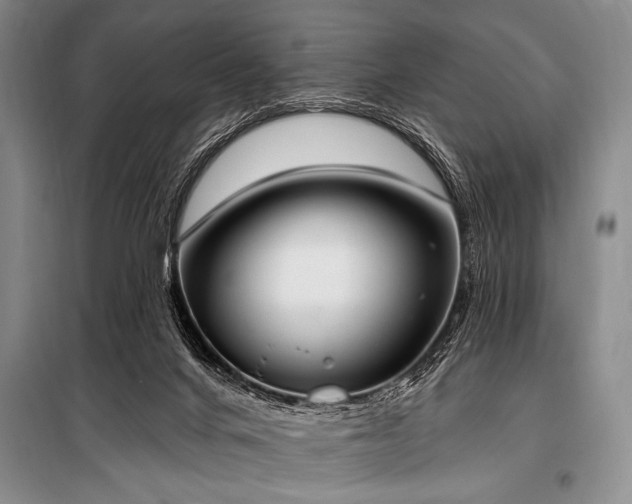 X0000101230024200806271522