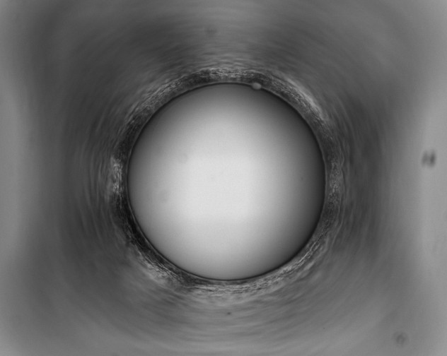 X0000101230025200806271522