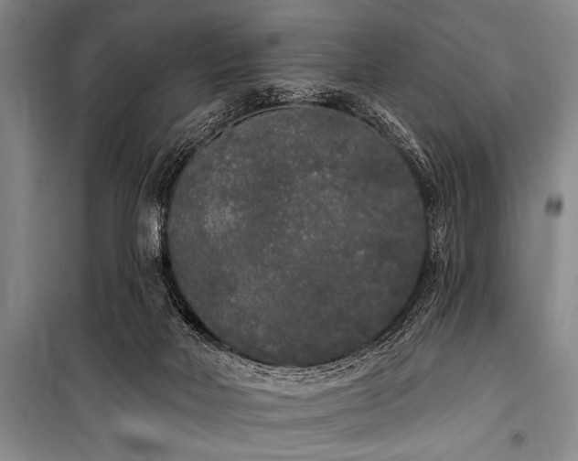 X0000101230026200806271522