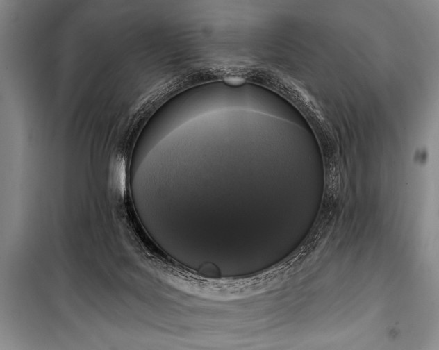 X0000101230027200806271522