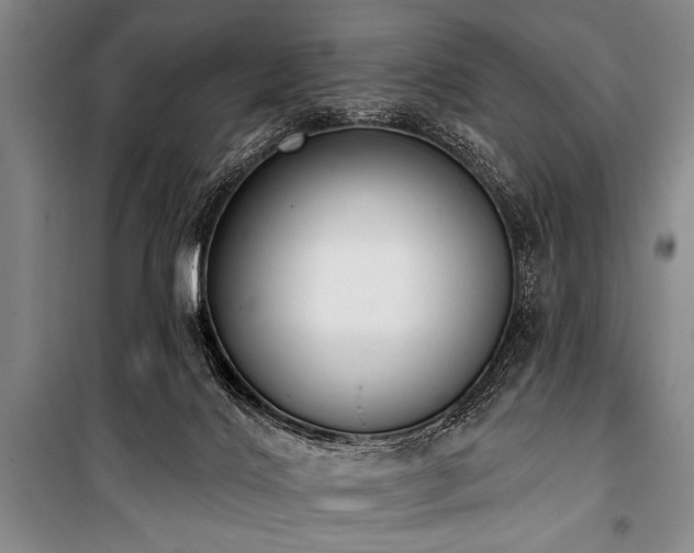 X0000101230028200806271522