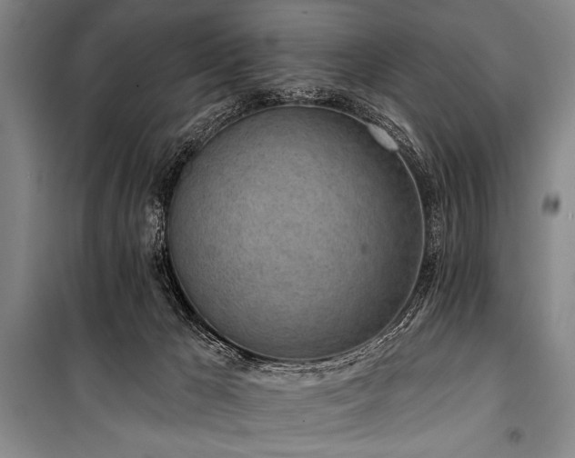 X0000101230029200806271522