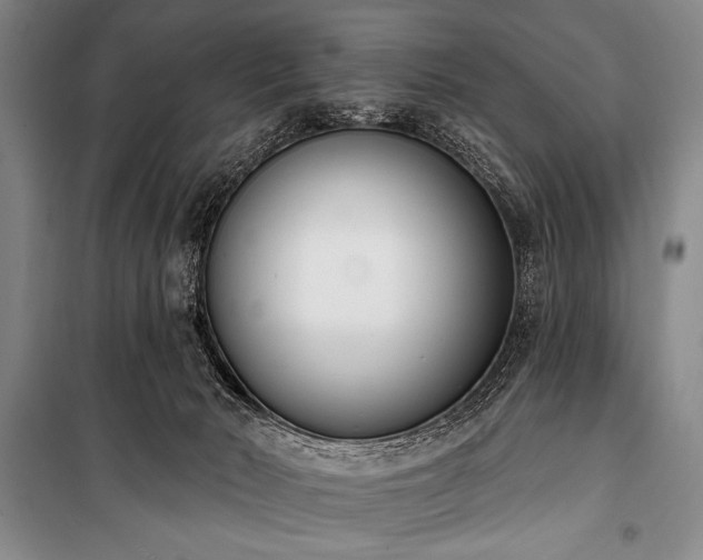 X0000101230030200806271522
