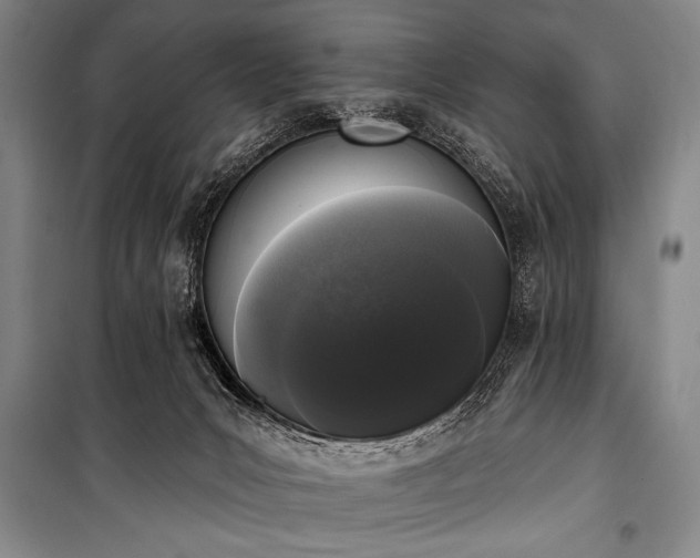 X0000101230031200806271522