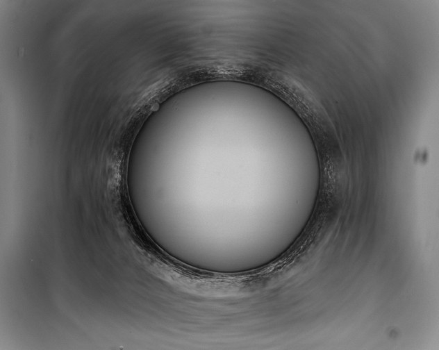 X0000101230032200806271522