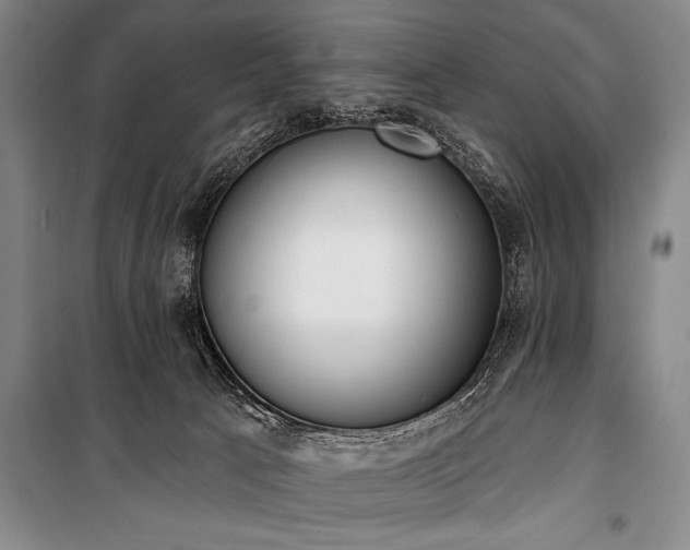 X0000101230033200806271522