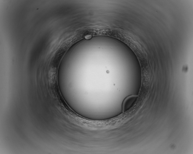 X0000101230034200806271522