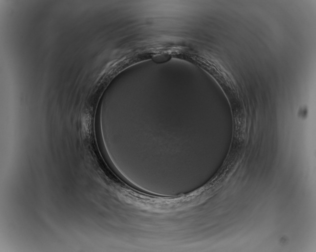 X0000101230035200806271522