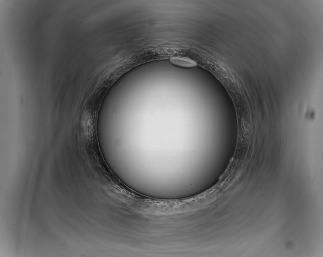X0000101230037200806271522