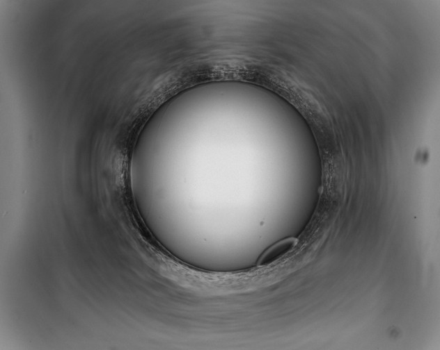 X0000101230038200806271522