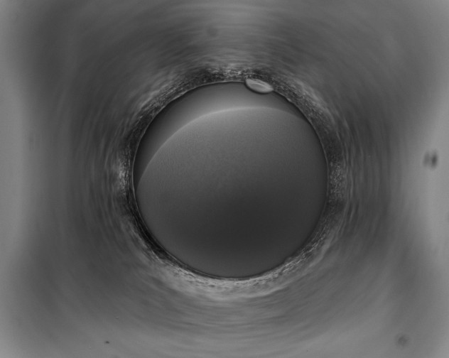 X0000101230039200806271522