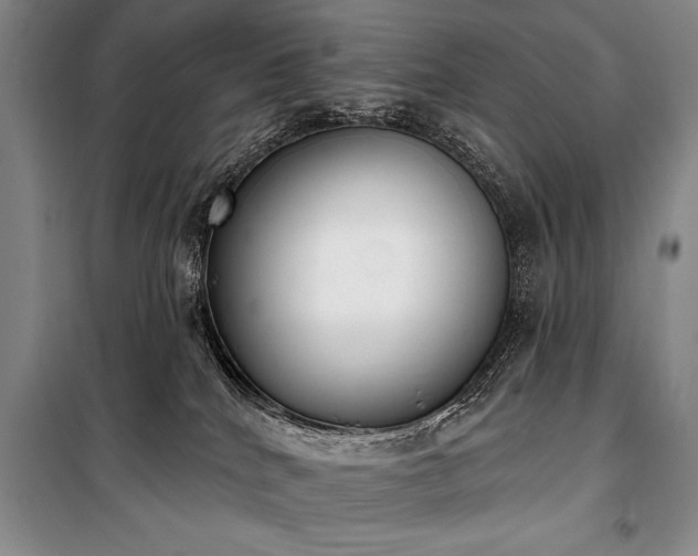 X0000101230040200806271521