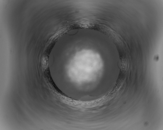 X0000101230043200806271521