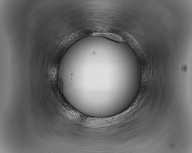 X0000101230045200806271521