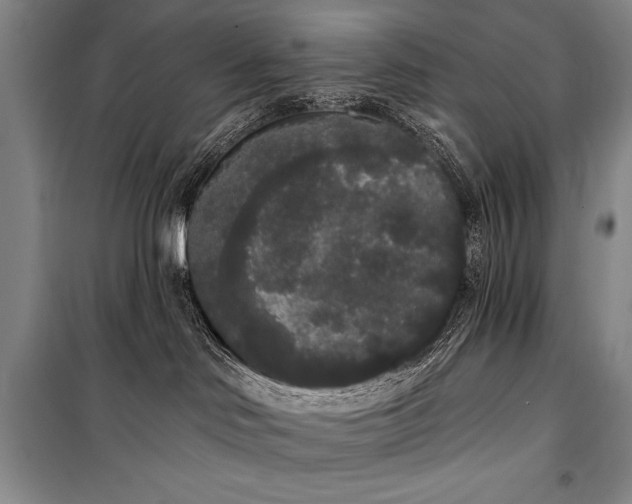 X0000101230046200806271521