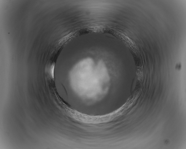 X0000101230047200806271521