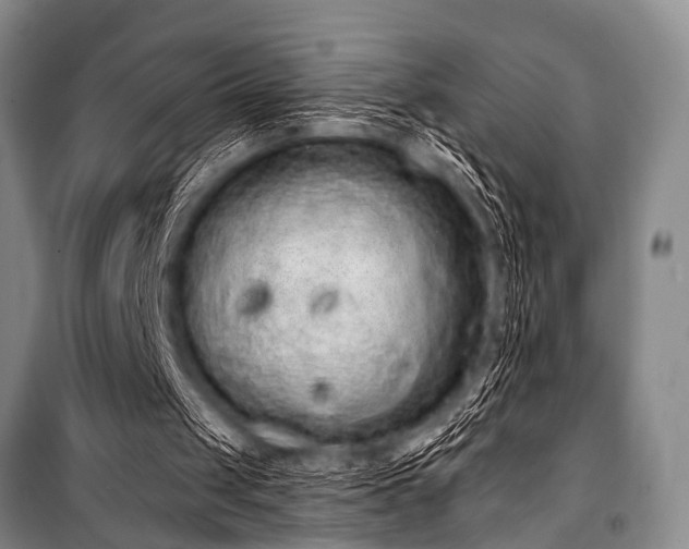 X0000101230049200806271521