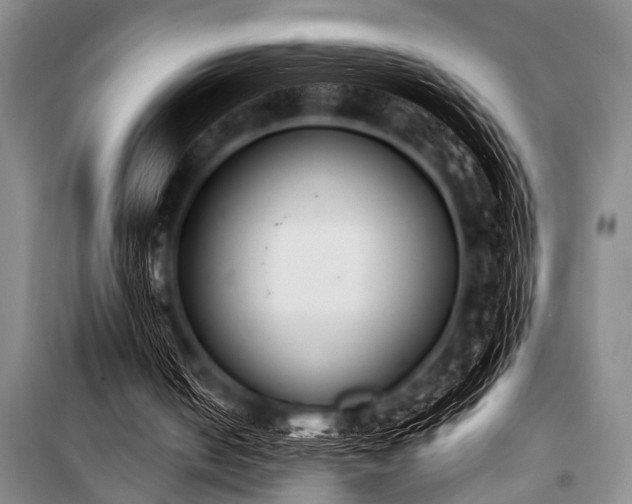 X0000101230050200806271521