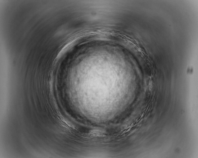 X0000101230051200806271521