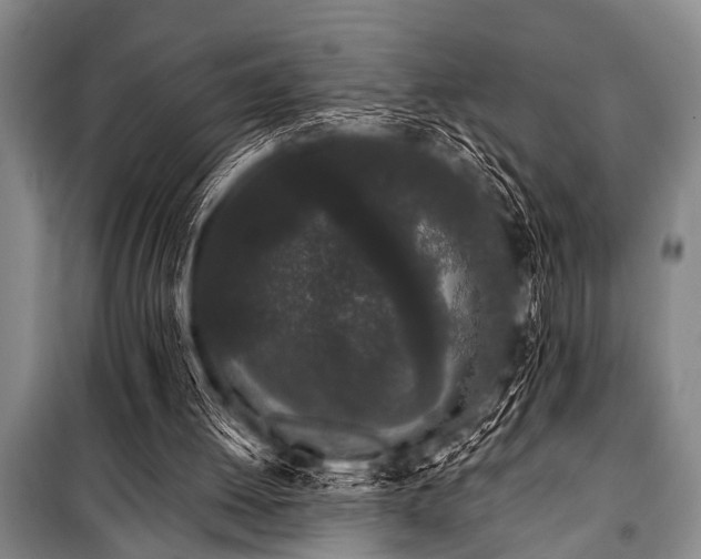 X0000101230052200806271521