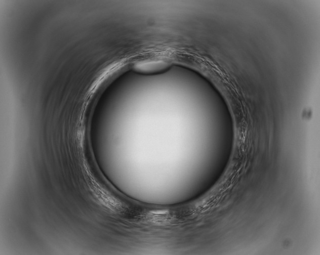 X0000101230054200806271521