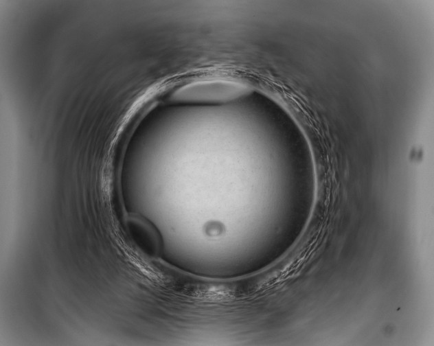 X0000101230056200806271521