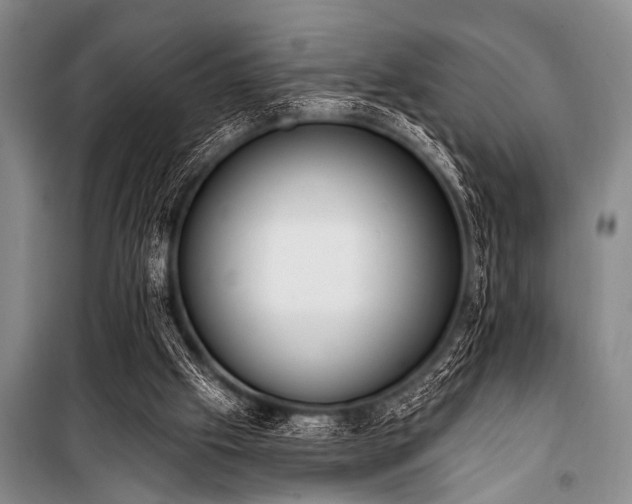X0000101230057200806271521