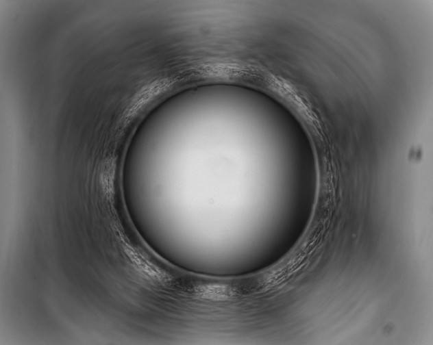 X0000101230058200806271521