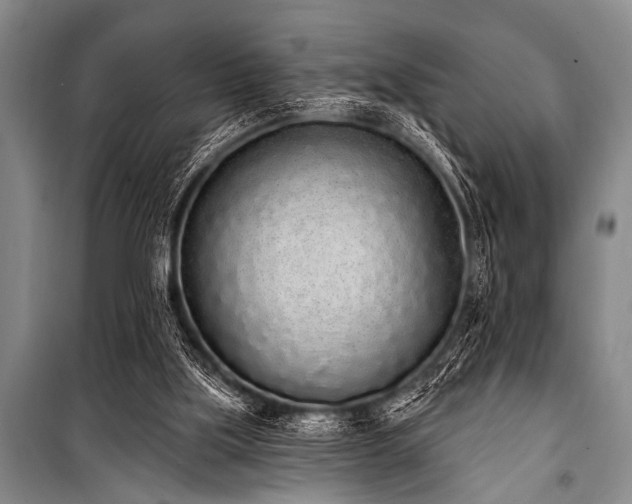 X0000101230059200806271521