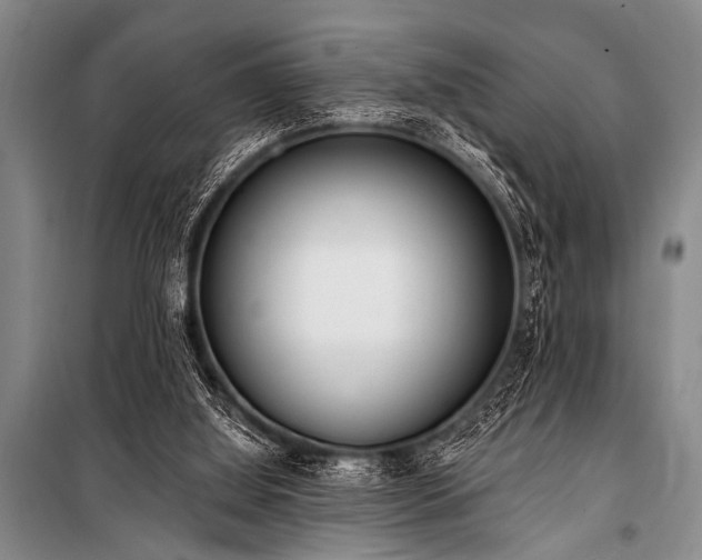 X0000101230060200806271521
